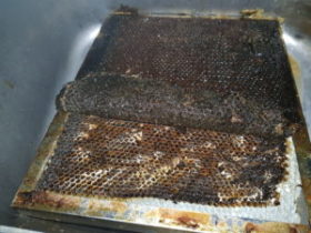 curatare filtre hota restaurant